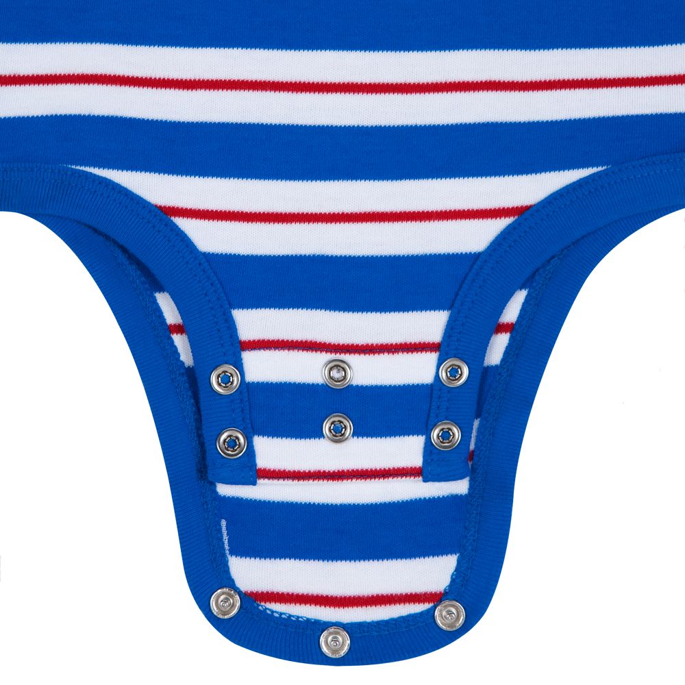 Alternate View