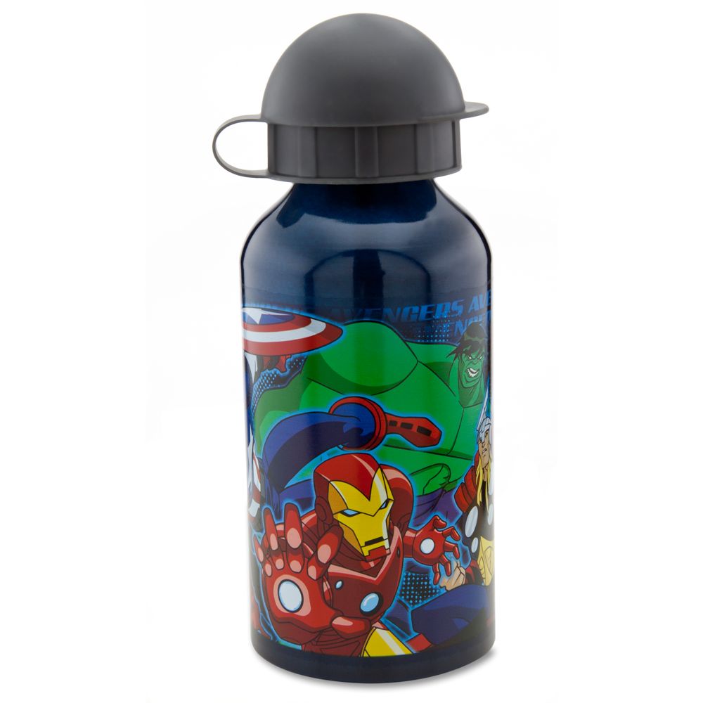 Aluminum The Avengers Water Bottle -- Small