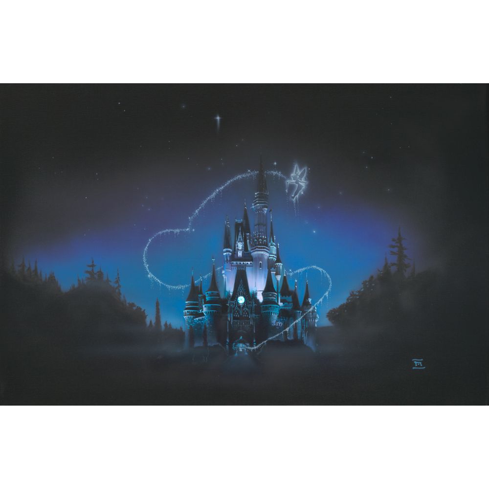 ''40 Magical Years'' Cinderella Castle Gicl&eacute;e by Noah