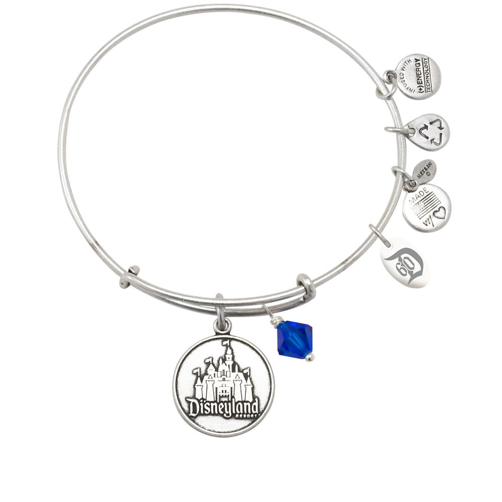 Disneyland Resort Bangle by Alex and Ani